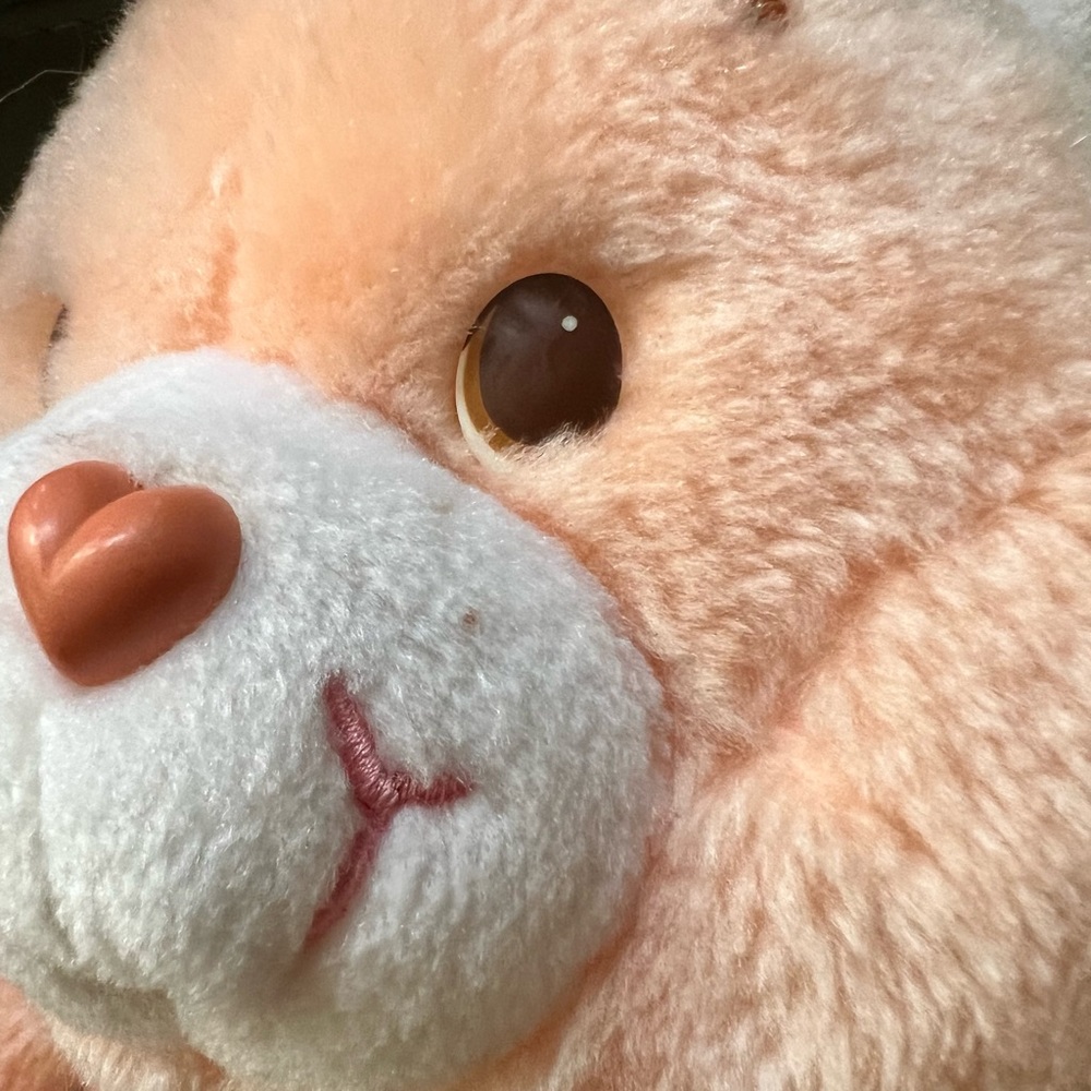 Vintage CARE BEAR Friend Bear 13” 1983 KENNER American Greetings CARE BEARS - Picture 10 of 12
